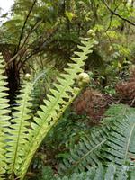 IMG_20161101_123649