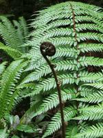 IMG_20190306_102535