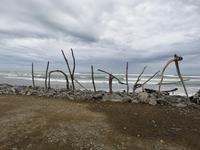 IMG_20190311_100209
