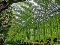 IMG_20190311_213814