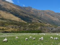 IMG_20190312_141126