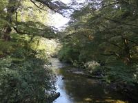 IMG_20190315_142114