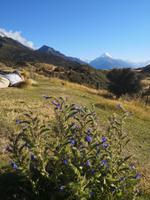 IMG_20190319_095543