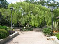 IMG_2270 Zu Besuch im Botanischen Garten von Singapur