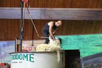 Im Agrodome Rotorua