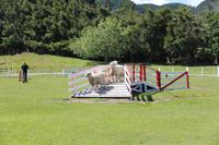 Im Agrodome Rotorua