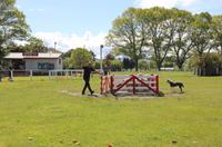 Im Agrodome Rotorua