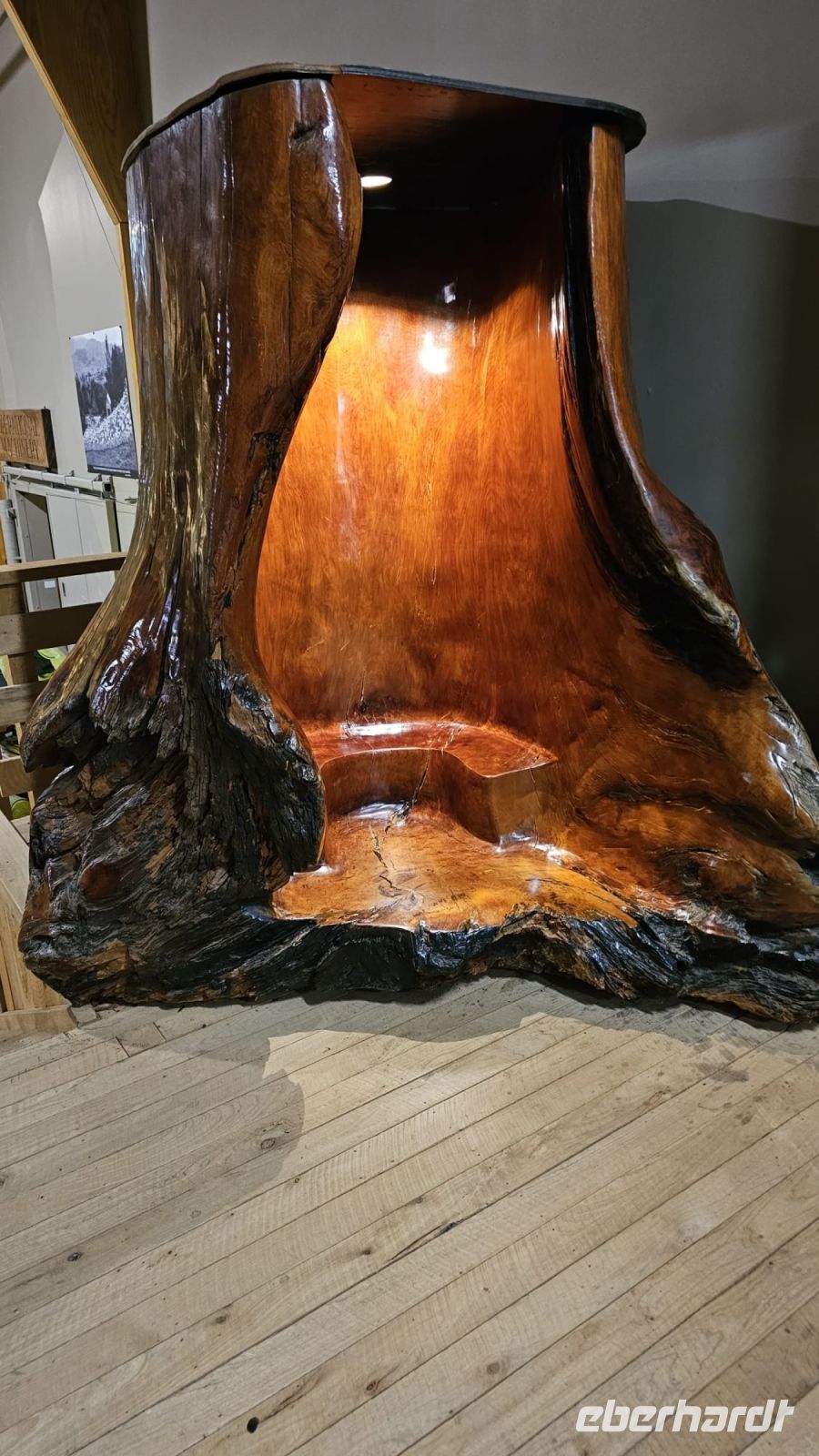 Im Kauri Museum
