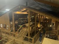 Im Kauri Museum