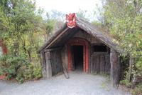Im Maori-Zentrum Te Puia in Rotorua