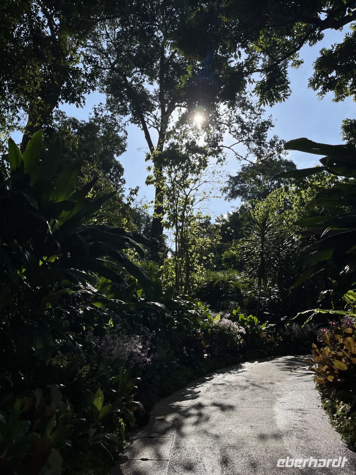 Im Orchideengarten