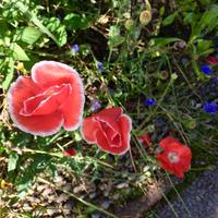 Impressionen