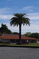 In Rotoroua