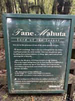 Informationstafel am Tane Mahuta