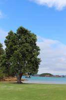 Insel Urupukapuka