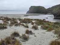 Küste am Ship Creek