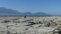 Küste bei Kaikoura