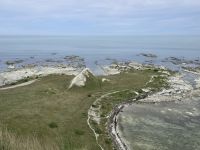 Küste bei Kaikoura