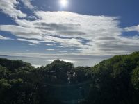 Küste von Moeraki