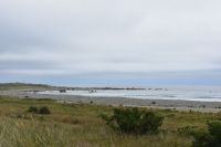 Kaikoura 