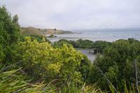 Kaikoura-Halbinsel
