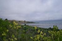Kaikoura-Halbinsel