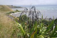 Kaikoura-Halbinsel