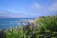 Kaikoura-Halbinsel