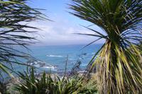 Kaikoura-Halbinsel