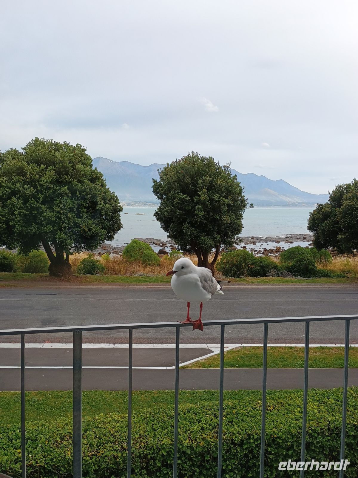 Kaikoura