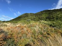 Kapiti Island 