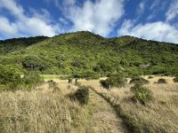 Kapiti Island 