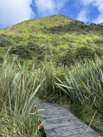 Kapiti Island 