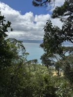 Kapiti Island 