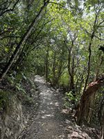 Kapiti Island 
