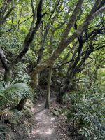 Kapiti Island 
