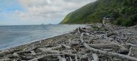 Kapiti Island 