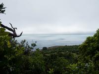 Kapiti Island