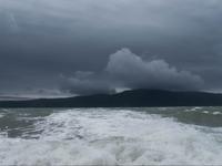 Kapiti Island