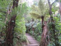 Kapiti Island
