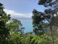 Kapiti Island