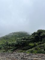 Kapiti Island