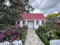 Kauri Museum (9)