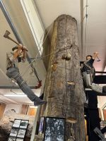 Kauri Museum 