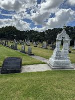 Kauri Museum 