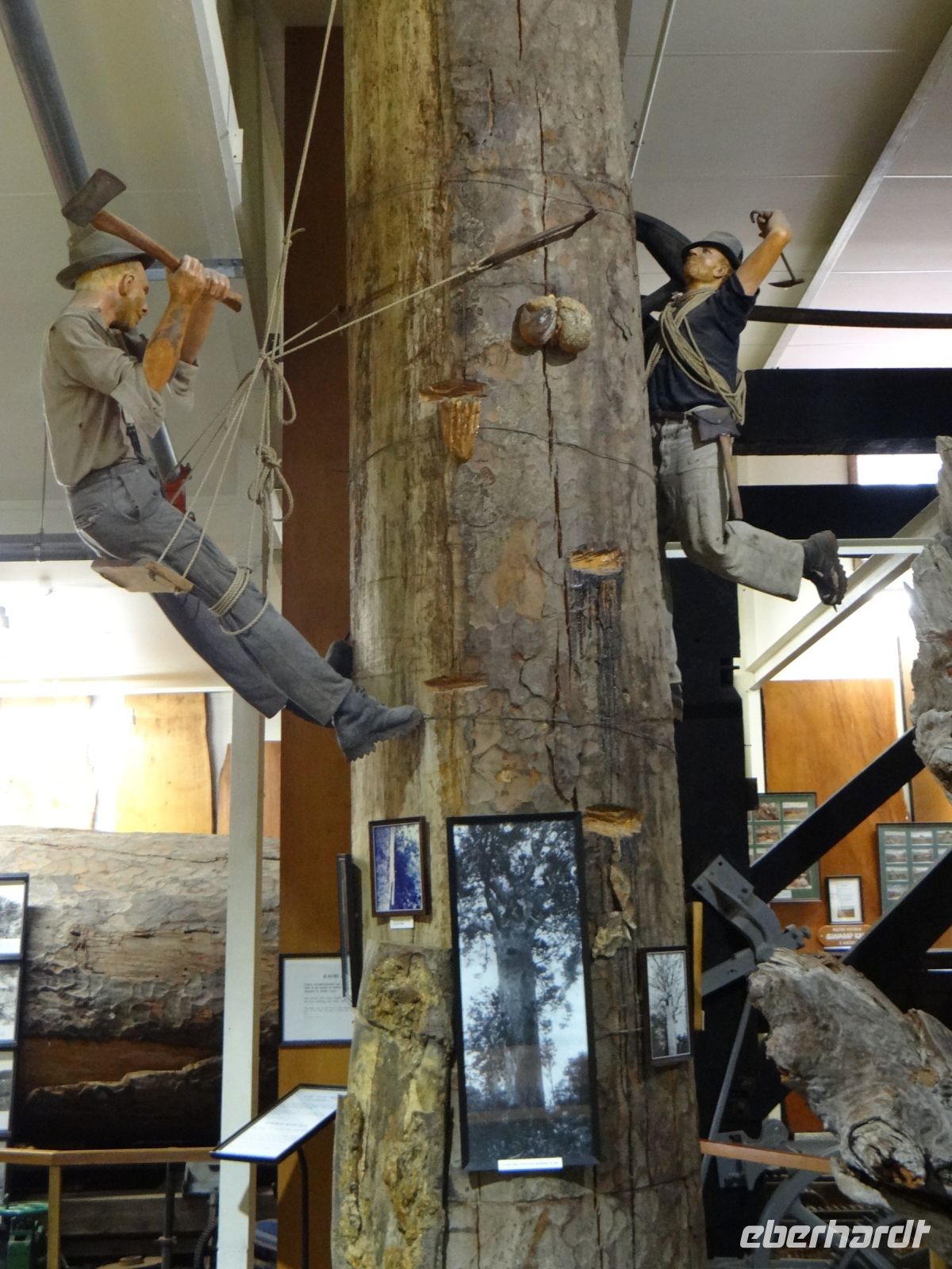 Kauri Museum Matakohe, Harzgewinnung - arbeitsaufwendig und gefährlich 