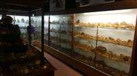 Kauri Museum in Matakohe