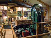 Kauri Museum