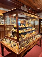 Kauri Museum