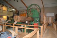 Kaurimuseum